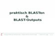 Vorlesung Einführung in die Bioinformatik - U. Scholz & M. Lange Folie #3z-1 Praktisch BLASTen & BLAST-Outputs praktisch BLASTen & BLAST-Outputs.