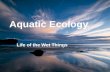 Aquatic Ecology Life of the Wet Things. Marine vs. Fresh Marine = Salt water –Estuaries, Coastlines, Coral reefs, Coastal marshes, Deep ocean Freshwater.