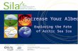 Increase Your Albedo! Exploring the Fate of Arctic Sea Ice.