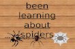 We have been learning about spiders. We read The Very Busy Spider.