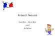 French Nouns Gender, Number and Articles. Objectifs At the end of this lesson, you will be able to: 1.Explain the unique characteristics of French nouns.