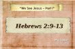 We See Jesus – Part I We See Jesus – Part I Pg 1062 In Church Bibles Hebrews 2:9-13 Hebrews 2:9-13.