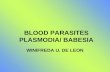 BLOOD PARASITES PLASMODIA/ BABESIA WINIFREDA U. DE LEON.