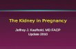 1 The Kidney in Pregnancy Jeffrey J. Kaufhold, MD FACP Update 2010.