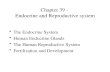 Chapter 39 - Endocrine and Reproductive system The Endocrine System Human Endocrine Glands The Human Reproductive System Fertilization and Development.