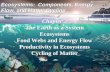 Ecosystems: Components, Energy Flow, and Matter Cycling Chapter 3 The Earth as a System Ecosystems Food Webs and Energy Flow Productivity in Ecosystems.