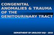 CONGENITAL ANOMALIES & TRAUMA OF THE GENITOURINARY TRACT DEPARTMENT OF UROLOGY IAŞI – 2013.