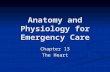 Anatomy and Physiology for Emergency Care Chapter 13 The Heart.