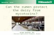 Can the rumen protect the dairy from mycotoxins? Naturally ahead Hilmar Gerhardt, MSc Ruminant Application Champion, Biomin.