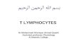 T LYMPHOCYTES Dr.Mohammed Sharique Ahmed Quadri Assistant professor Physiology Al Maarefa College.