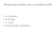 What type of data can a variable hold? A: Numbers B: Strings C: A & B D: Practically everything.