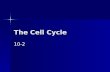The Cell Cycle 10-2. Process by which a cell grows, prepares for division and divides Process by which a cell grows, prepares for division and divides.
