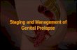 Staging and Management of Genital Prolapse. Dr. V.P.Paily MD; FRCOG Professor Jubilee Mission Medical College, Thrissur, Kerala. Consultant, Mother Hosp.
