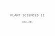 PLANT SCIENCES II BSC-201. Search for Food Hunter-gatherer society Primary subsistence method involves the direct collection of edible plants and animals.