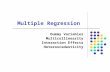 Multiple Regression Dummy Variables Multicollinearity Interaction Effects Heteroscedasticity.