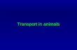 Transport in animals. Objectives Discuss the need for transport system in multi-cellular organisms. Discuss the need for transport system in multi-cellular.