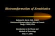 Biotransformation of Xenobiotics Barbara M. Davit, PhD, DABT Division of Bioequivalence, Office of Generic Drugs, CDER, FDA Introduction to the Theory.