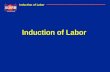 Induction of Labor International Induction of Labor