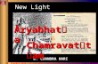 K. Chandra Hari, 17 Feb 2011, Cochin University of Science & Technology K. CHANDRA HARI New Light on Āryabhat a Chamravat t am &