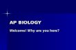 AP BIOLOGY Welcome! Why are you here?. Resources: Class blog and New Textbook biohart.wordpress.com biohart.wordpress.com biohart.wordpress.com.