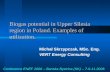 Biogas potential in Upper Silesia region in Poland. Examples of utilization. Michał Skrzypczak, MSc. Eng. VERT Energy Consulting Conference ENEF 2006 –