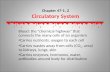 Chapter 47-1, 2 Circulatory System Blood: the "chemical highway" that connects the many cells of an organism Carries nutrients, oxygen to each cell Carries.