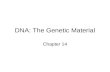 DNA: The Genetic Material Chapter 14. What is the genetic material? Protein vs DNA Griffith, Avery, Macleod and McCarty, Hershey and Chase.