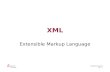 Worzyk FH Anhalt Telemedizin WS 09/10 XML - 1 XML Extensible Markup Language.