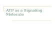 ATP as a Signaling Molecule. CONTENTS What is ATP..? ATP as a Signaling Molecule ATP Storage and Release Purinergic Receptors ATP in Extracellular Signaling.