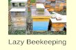 Lazy Beekeeping. Presentations online Before you take copious notes, all these presentations are online here: .
