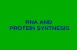 RNA AND PROTEIN SYNTHESIS. How your cell makes very important proteins proteinsThe production (synthesis) of proteins. 3 phases3 phases: 1.Transcription.