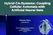Hybrid CA-Systems: Coupling Cellular Automata with Artificial Neural Nets Christina Stoica  Institute for Computer Science and Business Information.