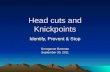 Head cuts and Knickpoints Identify, Prevent & Stop Georganne Bowman September 30, 2011.
