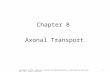1 Chapter 8 Axonal Transport Copyright © 2012, American Society for Neurochemistry. Published by Elsevier Inc. All rights reserved.