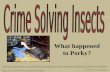 T. Trimpe 2009  Presentation developed for use with the Crime Solving Insects activity available at .