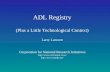 ADL Registry (Plus a Little Technological Context) Larry Lannom Corporation for National Research Initiatives