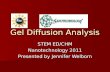 Gel Diffusion Analysis STEM ED/CHM Nanotechnology 2011 Presented by Jennifer Welborn.