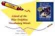 Island of the Blue Dolphins Vocabulary Words Fifth Grade Unit 1 Week 3.