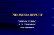 INDONESIA REPORT ONNO W. PURBO A. H. THAMRIN AI3 Indonesia.