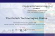 POLSKIETECHNOLOGIE.PL Database Technologies, Enterprises and Innovation Products The Polish Technologies Online Information Processing Centre OPI Maciej.