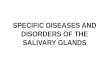 Salivary Glands (3- Sialolithiasis - Copy