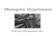 Monogenic Hypertension Thitisak Kitthaweesin MD..