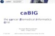 27 June 2005caBIG an initiative of the National Cancer Institute, NIH, DHHS caBIG the cancer Biomedical Informatics Grid Arumani Manisundaram caBIG - Project.