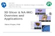 NA-MIC National Alliance for Medical Image Computing  3D Slicer & NA-MIC: Overview and Applications Steve Pieper, PhD.