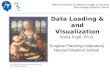 Data Loading & and Visualization Sonia Pujol, Ph.D. Surgical Planning Laboratory Harvard Medical School National Alliance for Medical Image Computing Neuroimage.