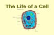 The Life of a Cell. Chemistry Element - A substance that can not be broken down into simpler substance. Trace elements are found in living things in very.