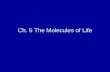 Ch. 5 The Molecules of Life. 5.1 Carbon is the main ingredient of organic molecules.
