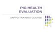 PIG HEALTH EVALUATION SAPPO TRAINING COURSE. How to see if a pig is healthy Whether a pig is for sale or a member of the herd, it is important to know.