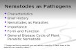 Nematodes as Pathogens Characteristics Characteristics Brief History Brief History Nematodes as Parasites Nematodes as Parasites Importance Importance.