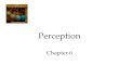 Perception Chapter 6. Perception Selective Attention Perceptual Illusions Perceptual Organization Form Perception Motion Perception Perceptual Constancy.